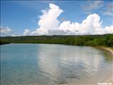 Punta Ballena - GUÁNICA